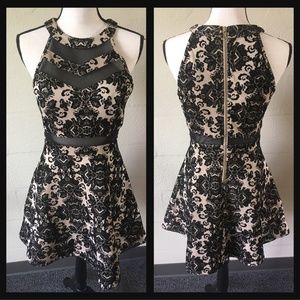 Cream and black velvet pattern skater dress